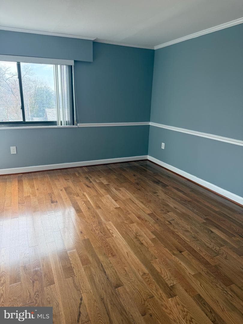 8308 Flower Avenue #401 photo 12