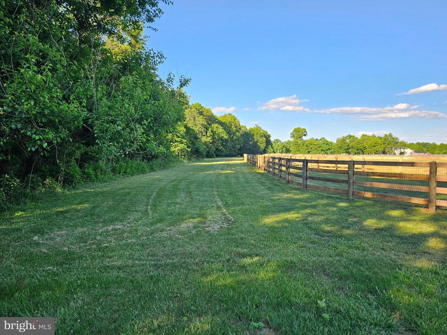 15512 Mount Nebo Road photo 100