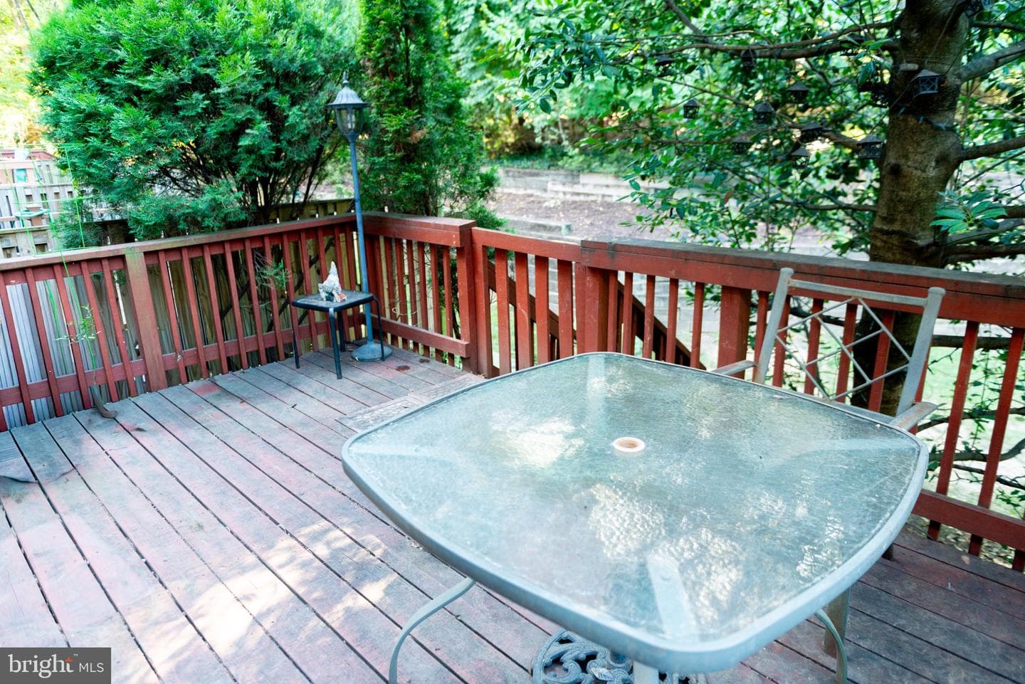 323 Lynn Manor Drive photo 8