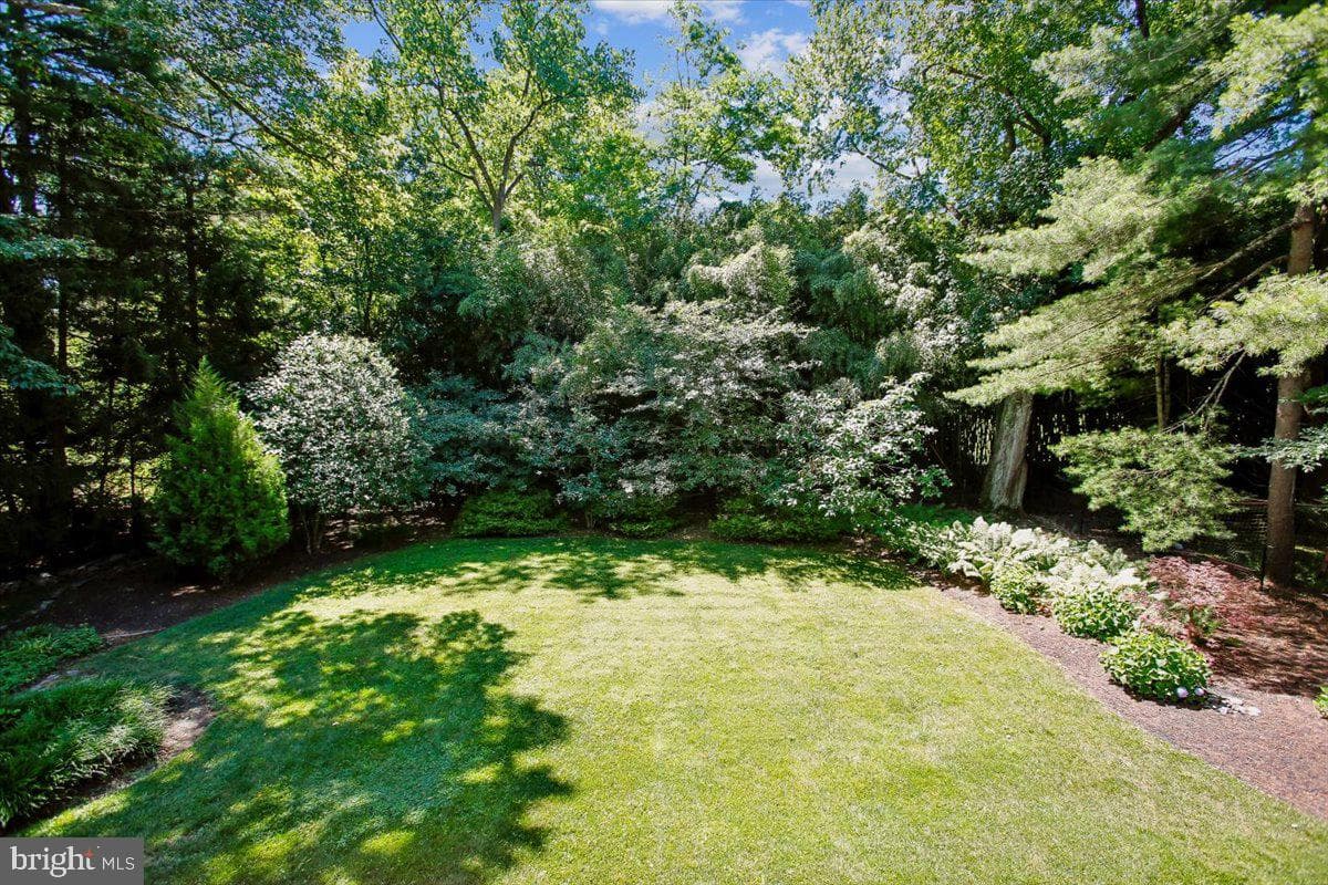 8308 Lilly Stone Drive photo 55