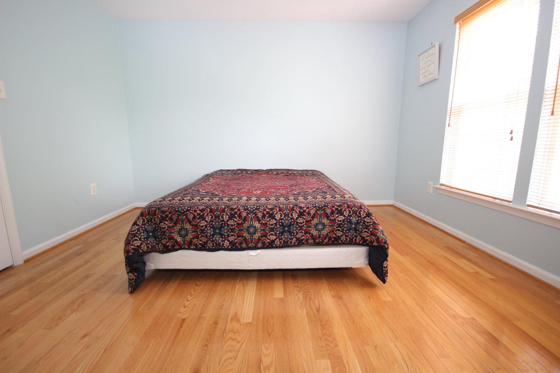 18537 Reliant Drive photo 46