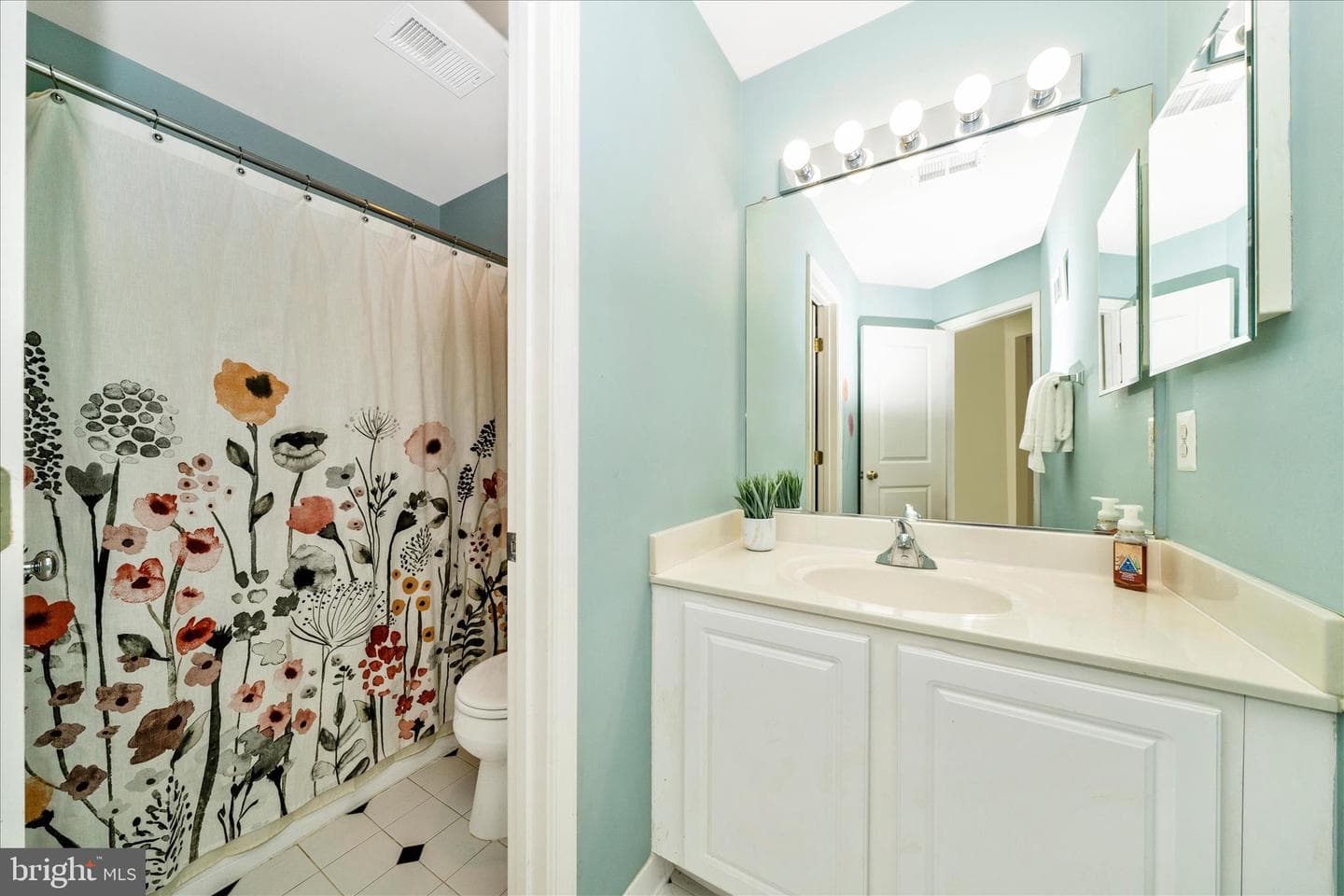 12716 Murphy Grove Terrace photo 43