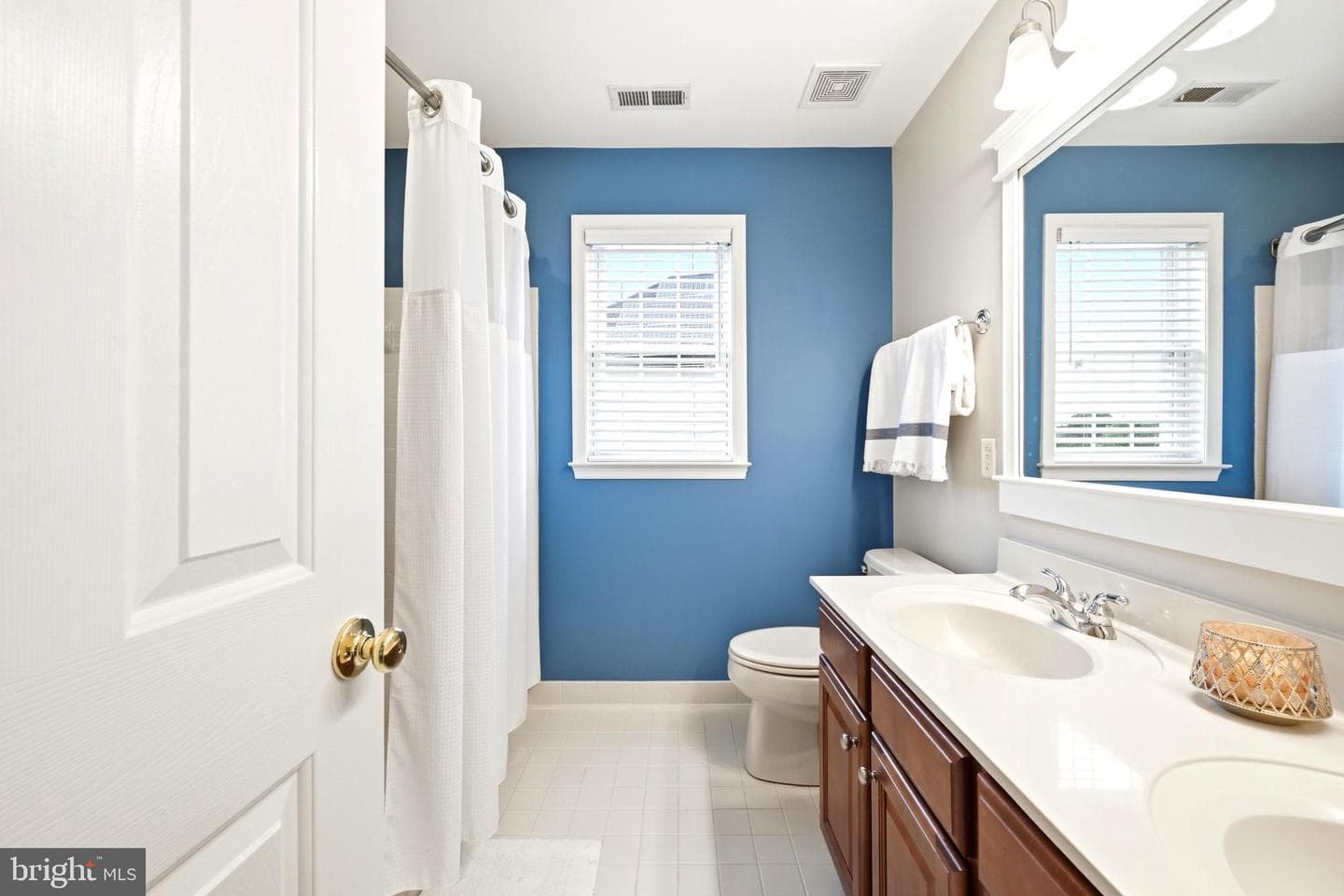15210 Briarcliff Manor Way photo 42