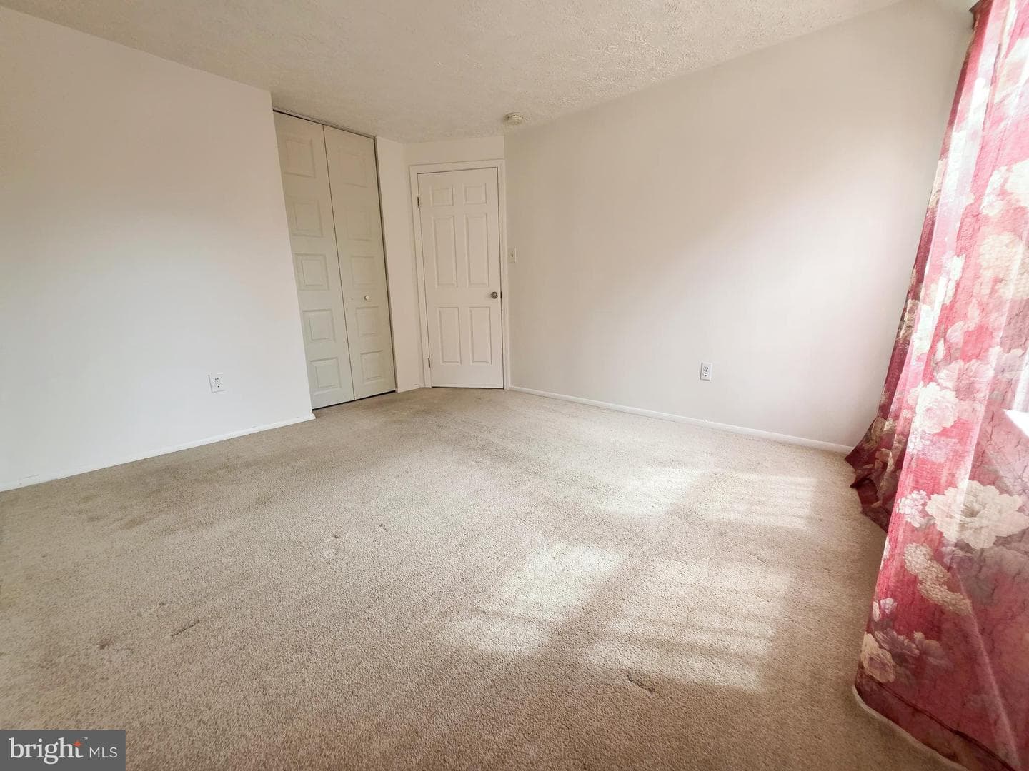 202 Curry Ford Lane photo 20