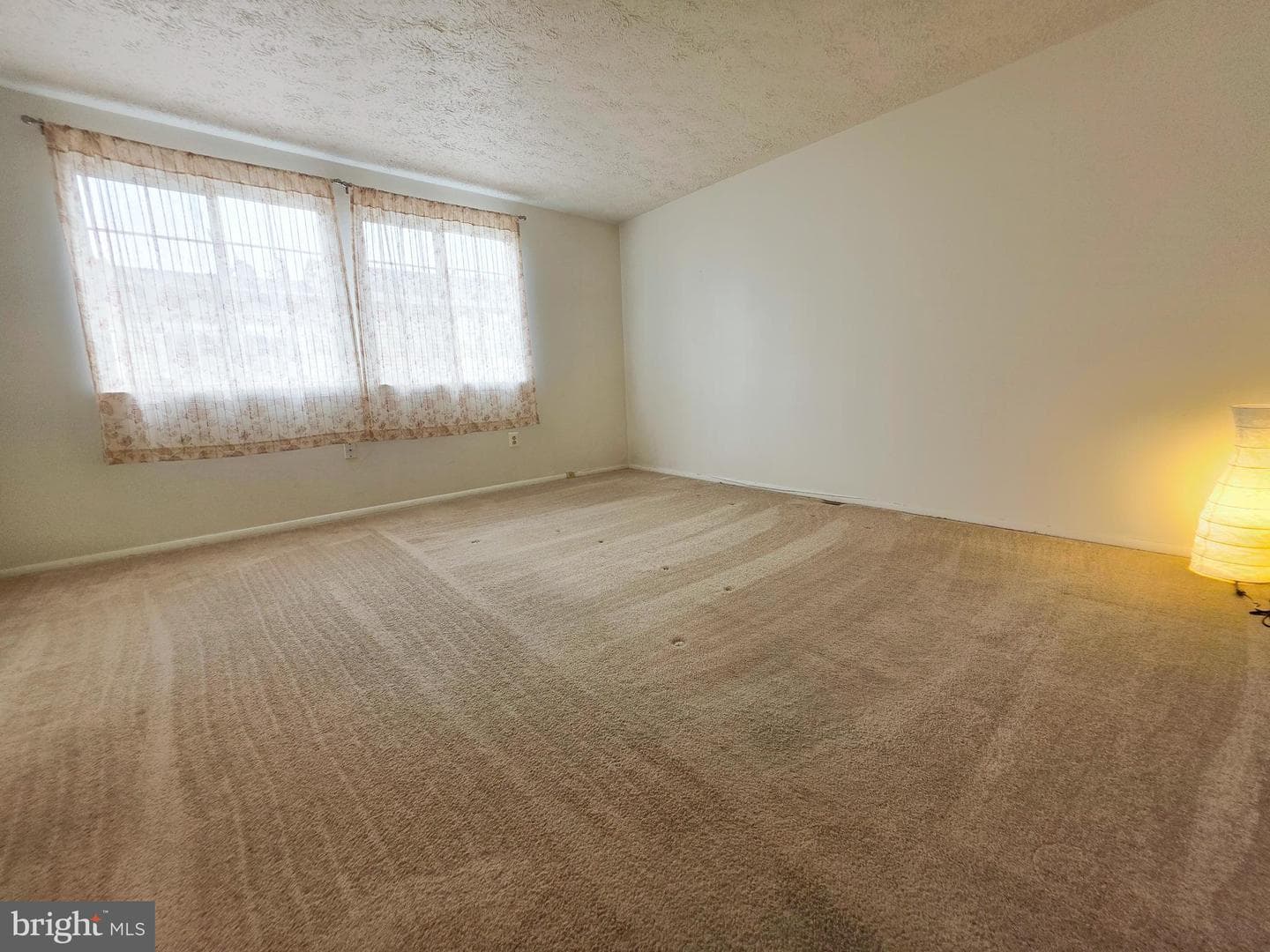 202 Curry Ford Lane photo 22