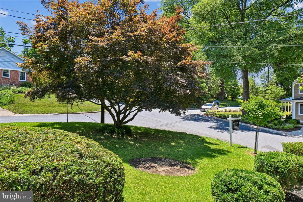 10211 Brookmoor Drive photo 25