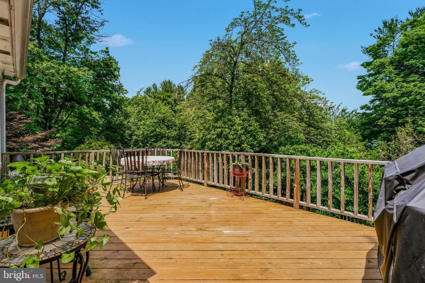 13309 Cloverdale Place photo 4