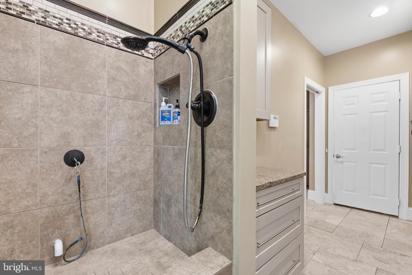 19313 Cissel Manor Drive photo 42
