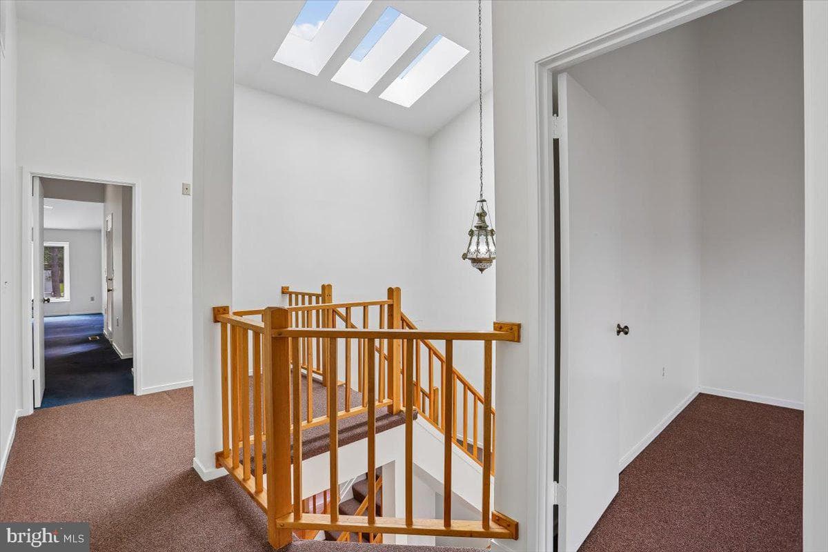 10719 Gloxinia Drive photo 14