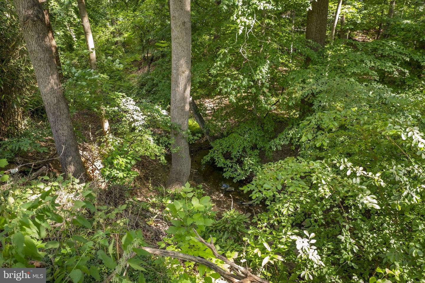 858 College Parkway #858-20 photo 31