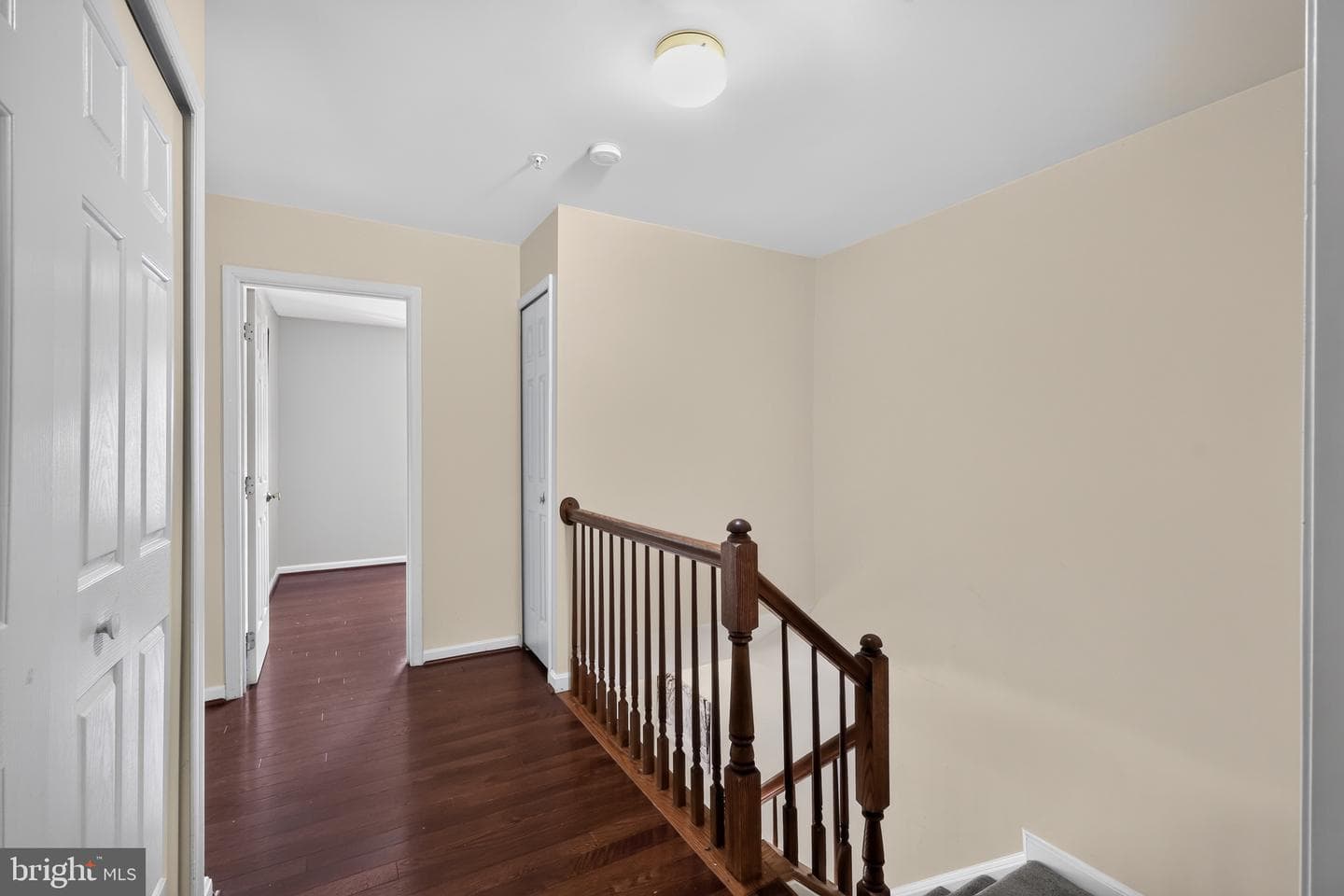 10 Augustine Court photo 25