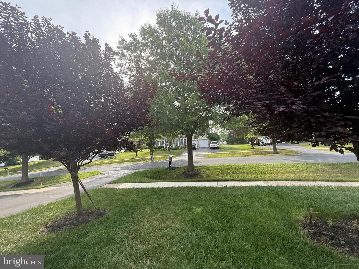 15224 Lions Den Road photo 16