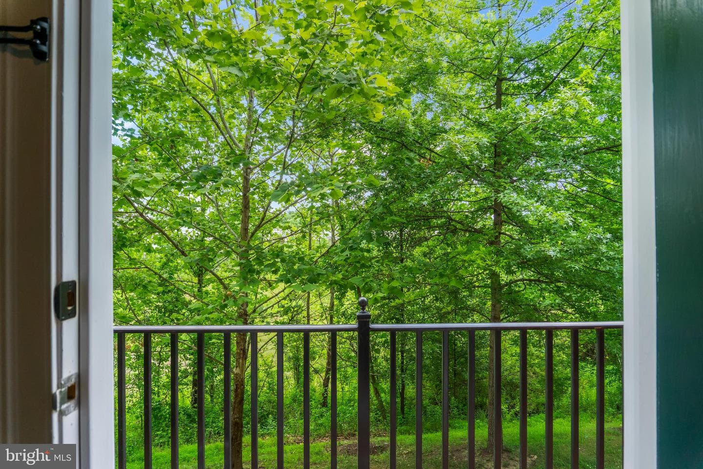 132 Liriope Place photo 54