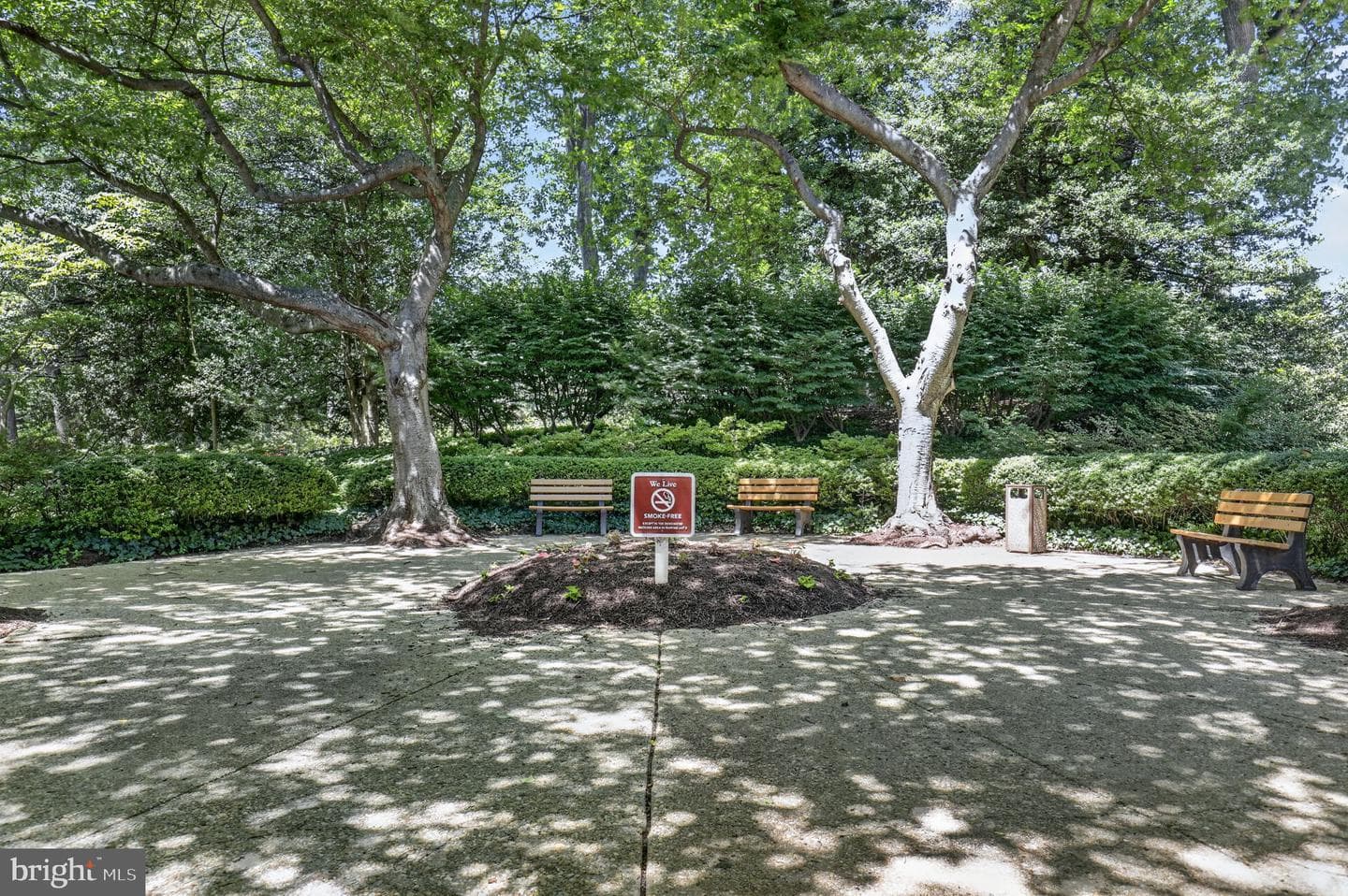 5225 Pooks Hill Road #1319s photo 40