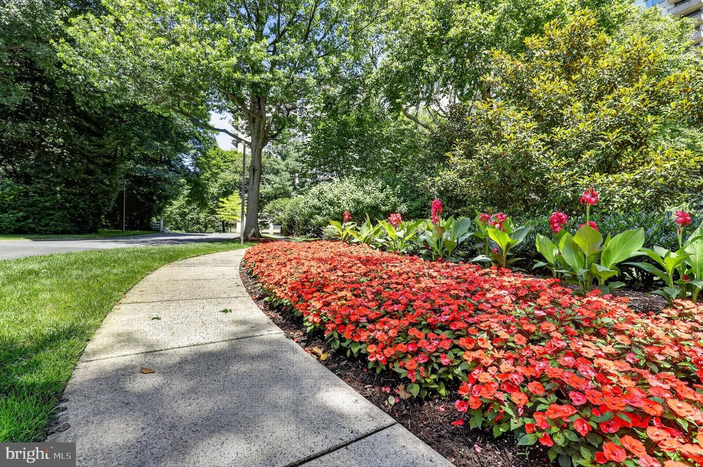5225 Pooks Hill Road #1319s photo 41