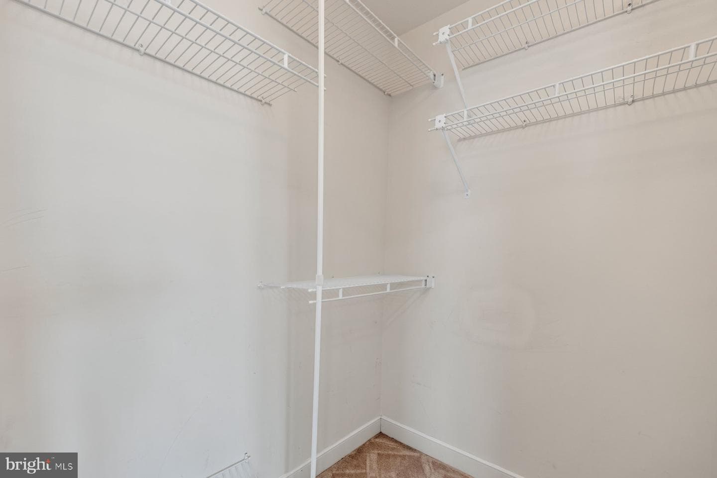 14107 Silent Wood Way photo 39
