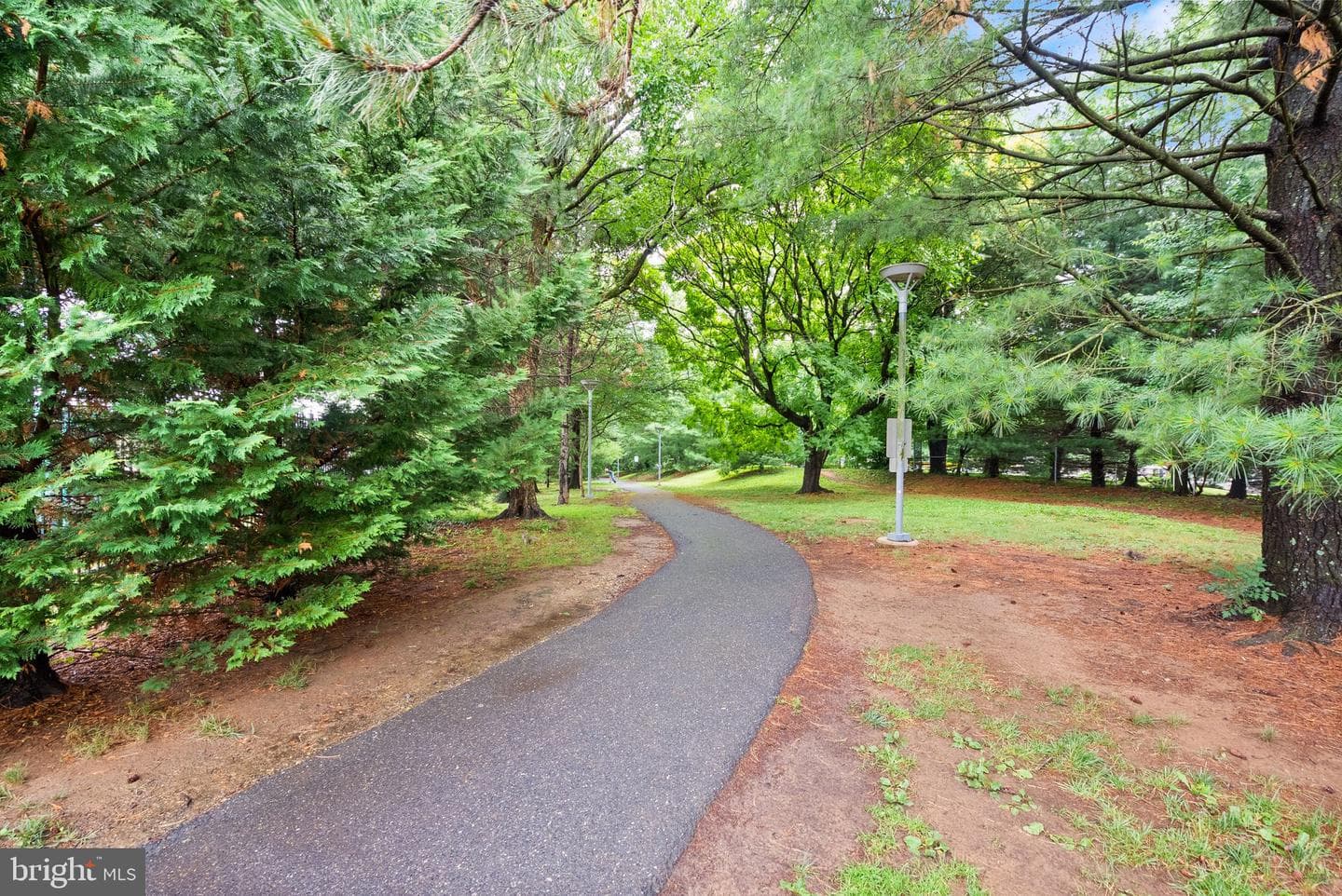 4977 Battery Ln # 1-711 photo 38