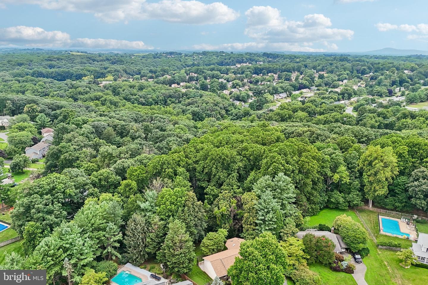 24833 Showbarn Circle photo 44
