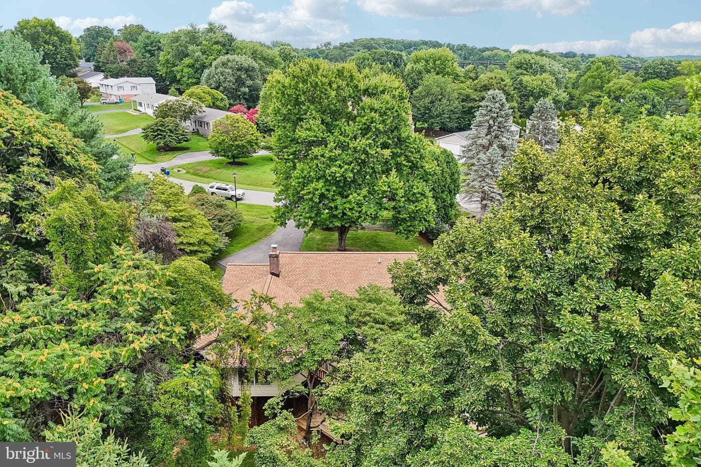 24833 Showbarn Circle photo 48