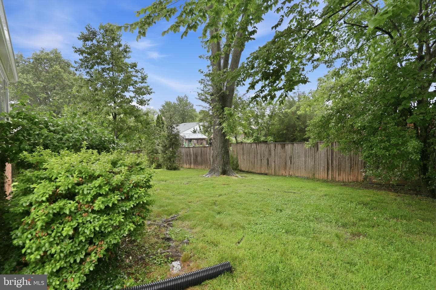 9706 Dameron Drive photo 38
