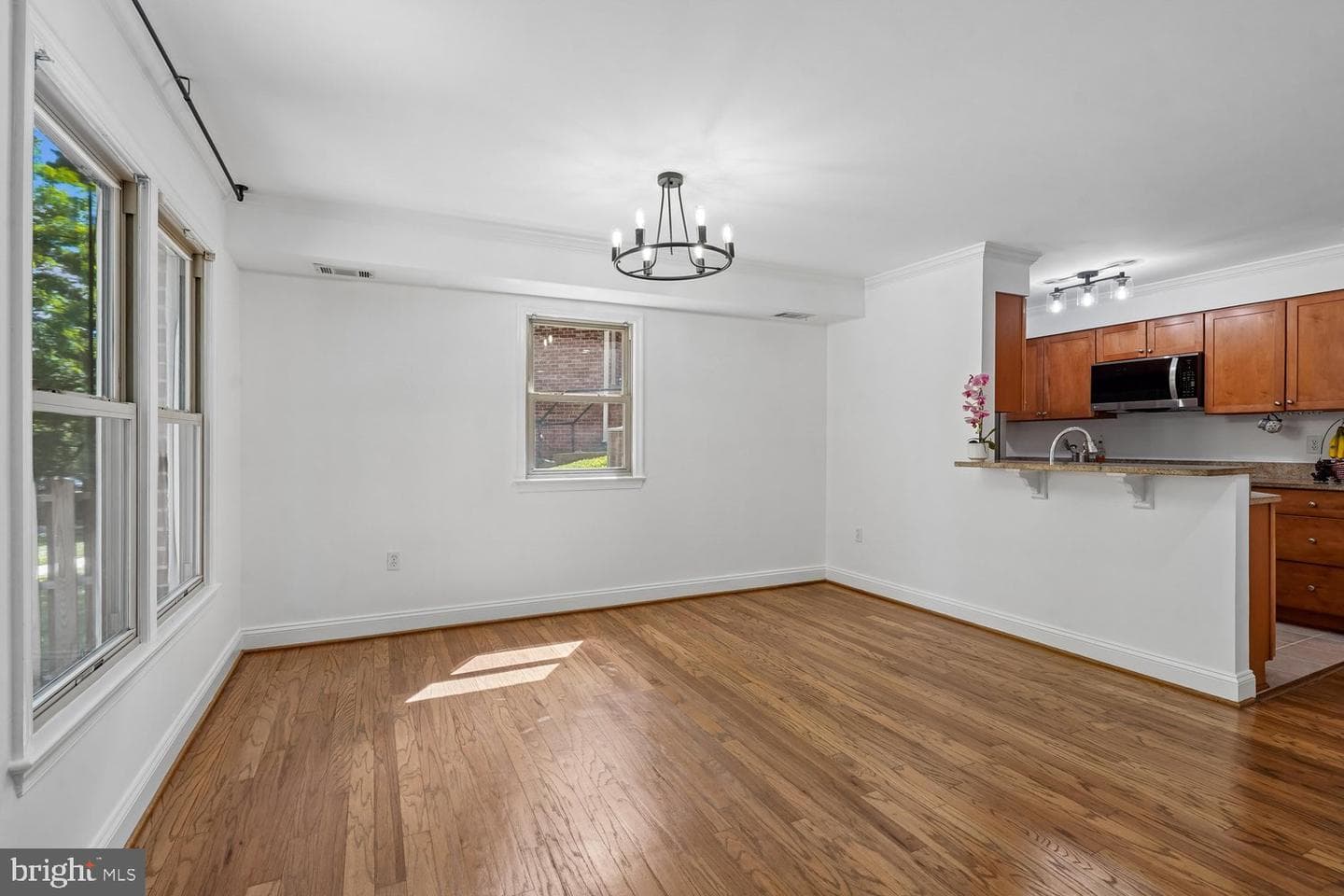 7861 Coddle Harbor Lane #29 photo 10