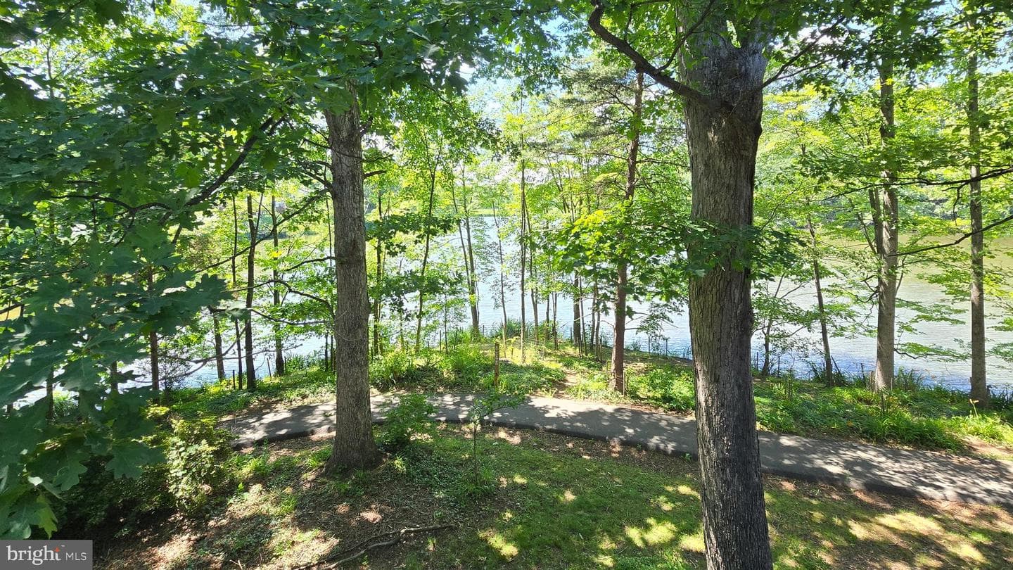 13326 Waterside Circle photo 38