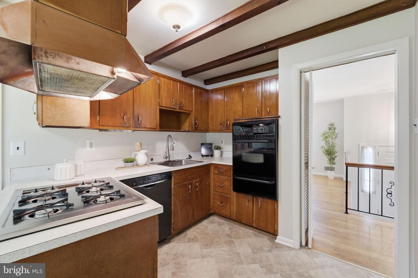 10311 Cheshire Terrace photo 16