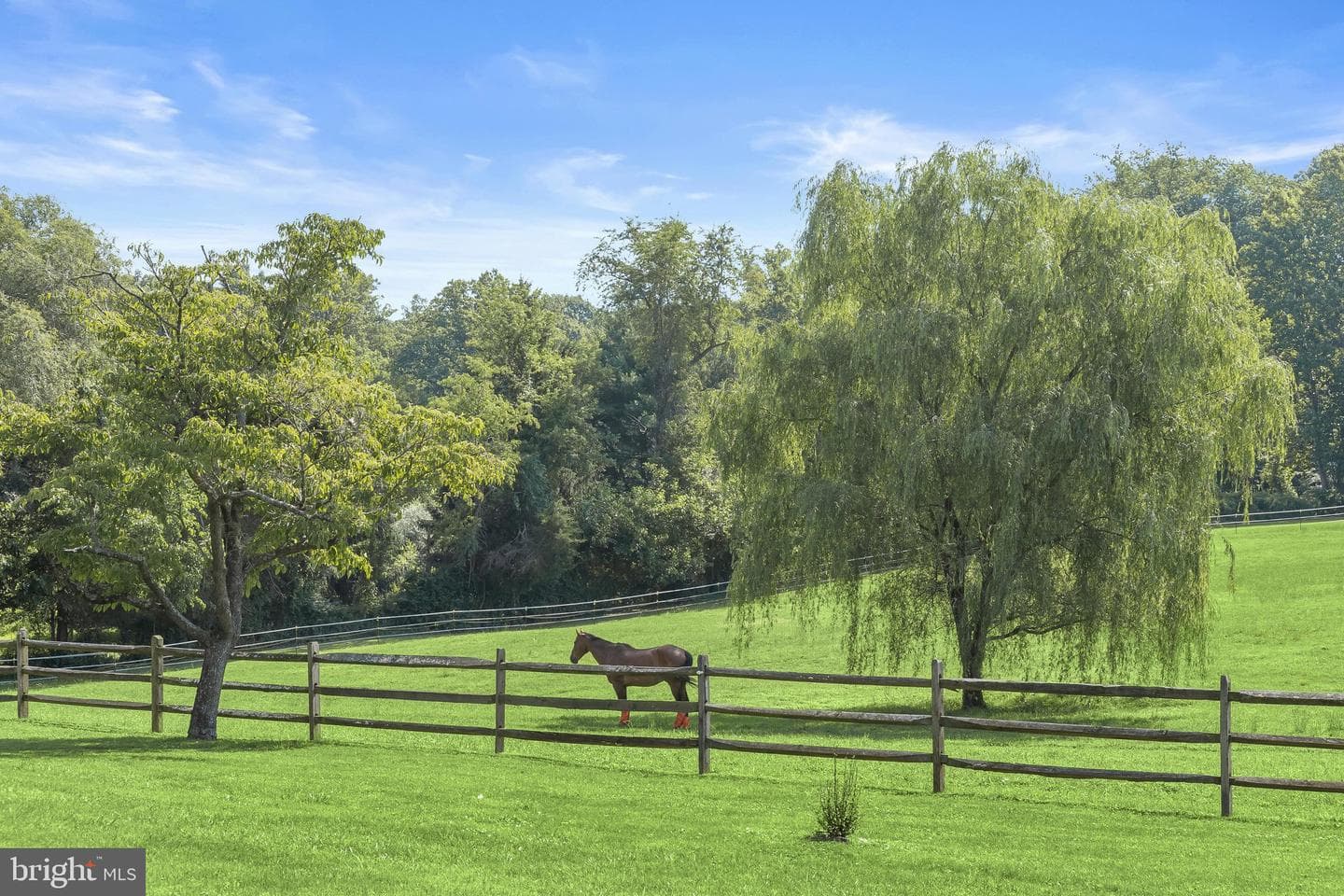 16510 Batchellors Forest Road photo 82