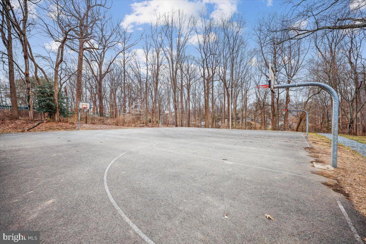 8607 Wild Olive Drive photo 45