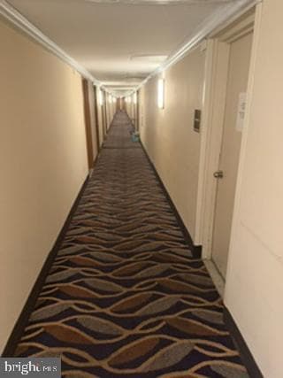 1121 University Boulevard W #1312, Silver Spring