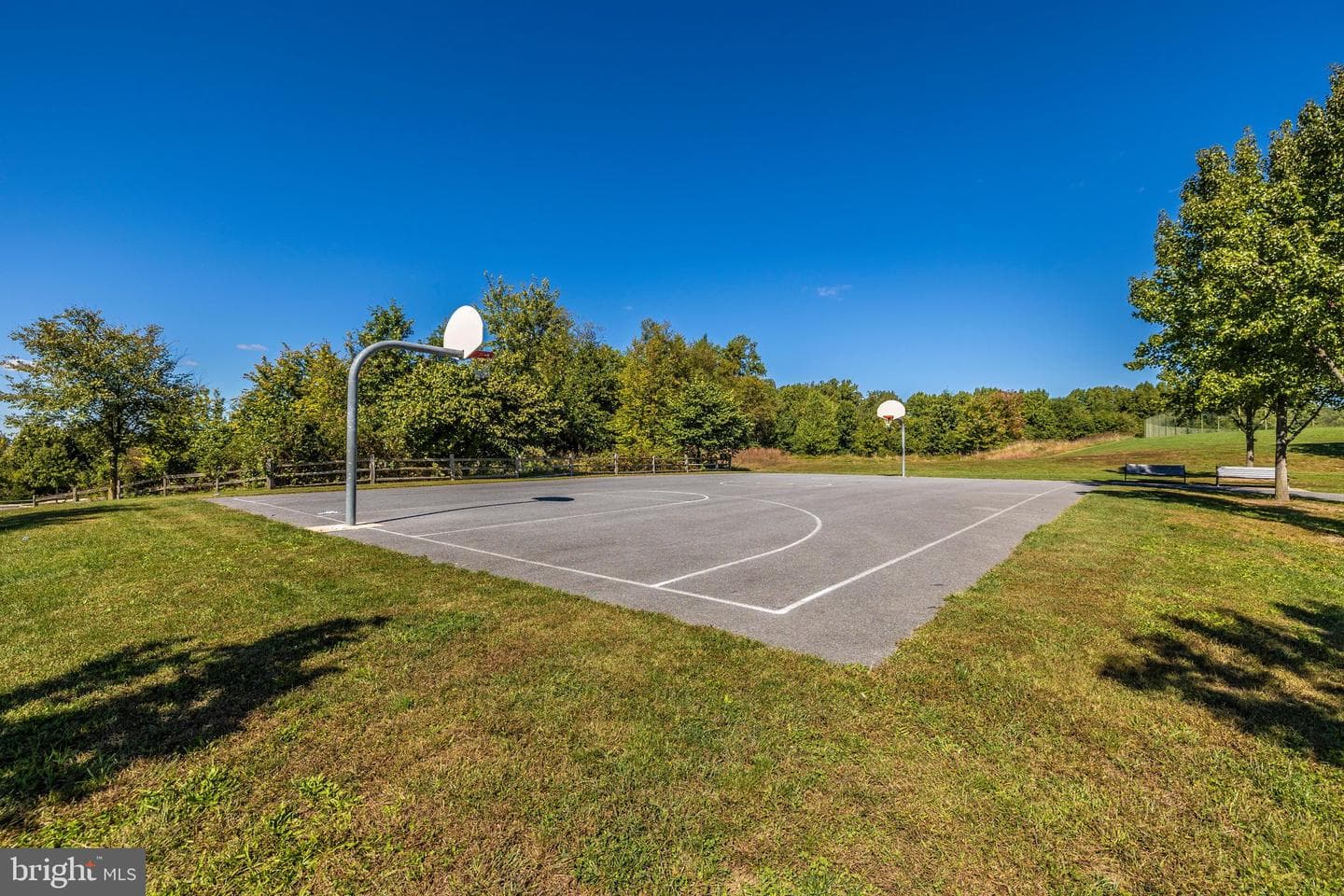 12105 Pond Pine Drive photo 50