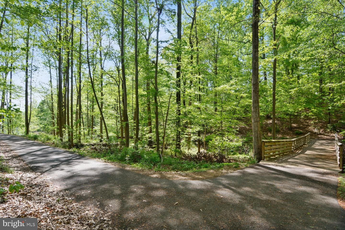 19962 Appledowre Circle #400 photo 56