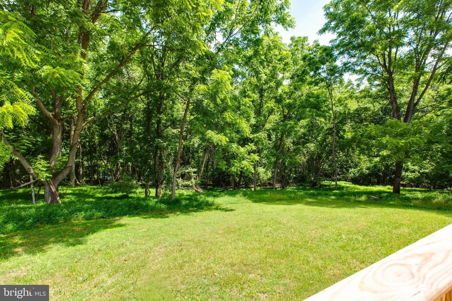 10301 Bloom Dr photo 41