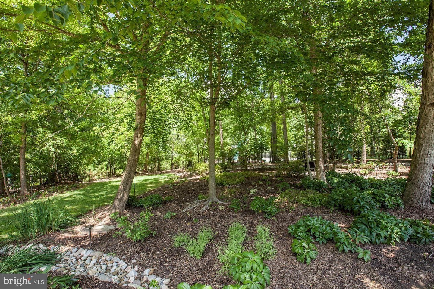 9909 Avenel Farm Drive photo 25