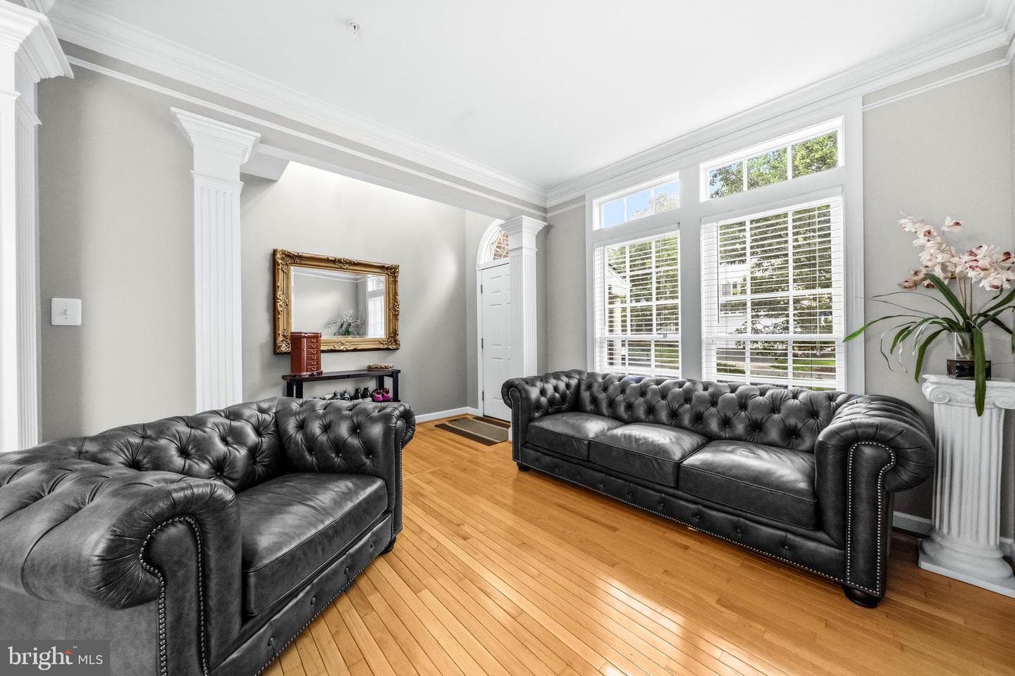 13231 Dutrow Drive photo 10