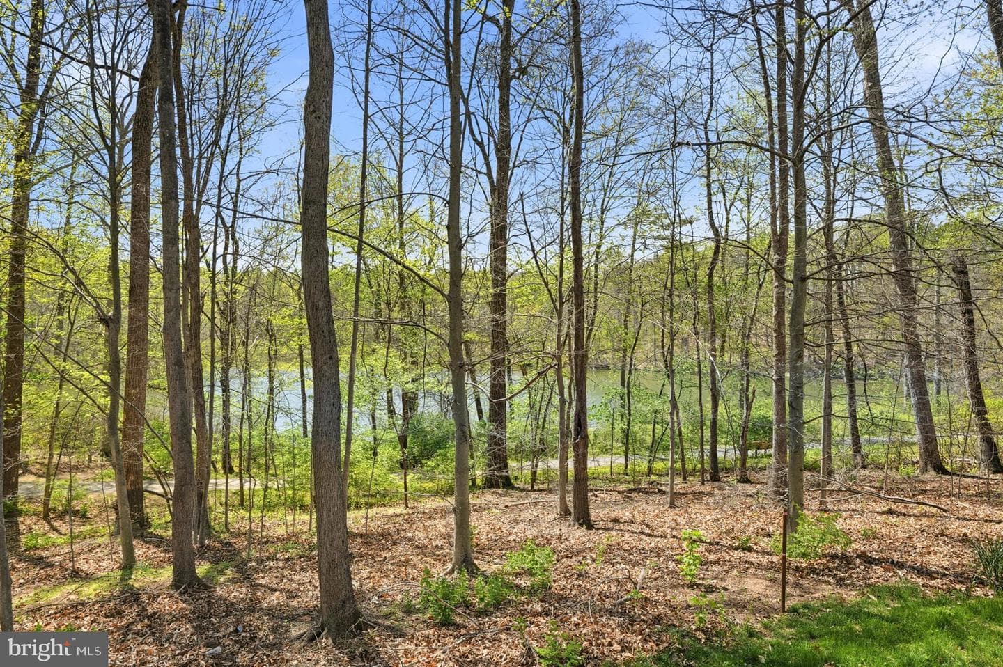 20605 Hazelnut Court photo 68