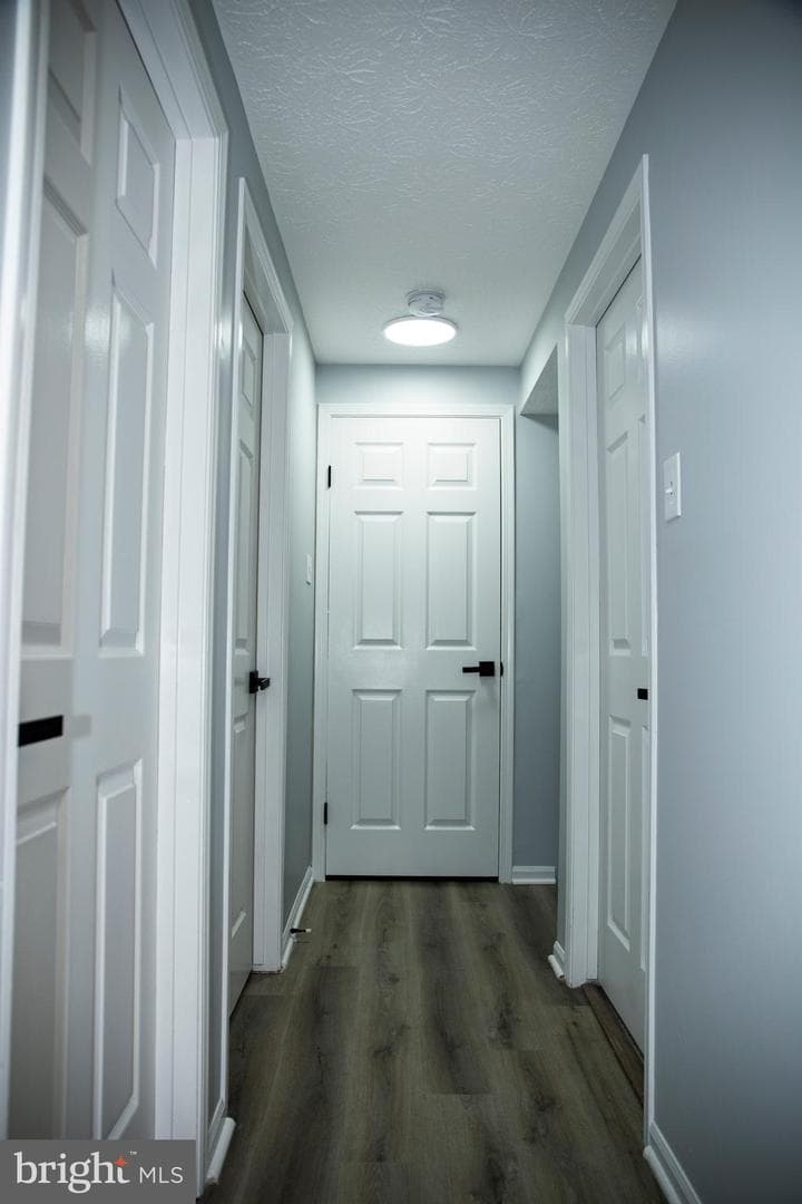 540 Palmtree Drive photo 16