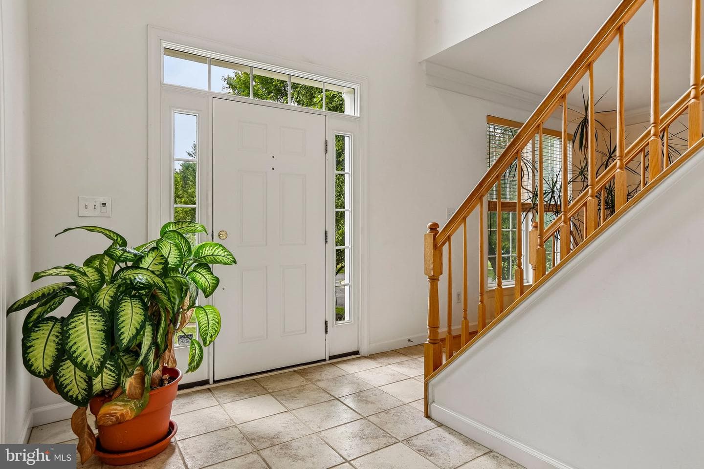 3006 Novak Terrace photo 4