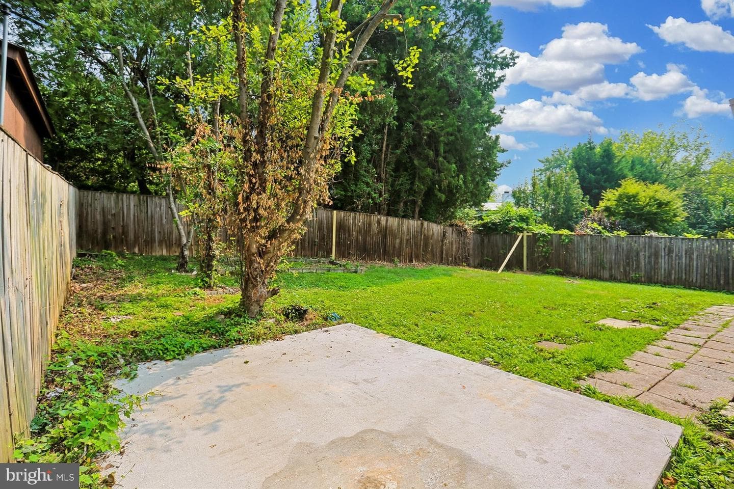 811 Kenbrook Drive photo 16