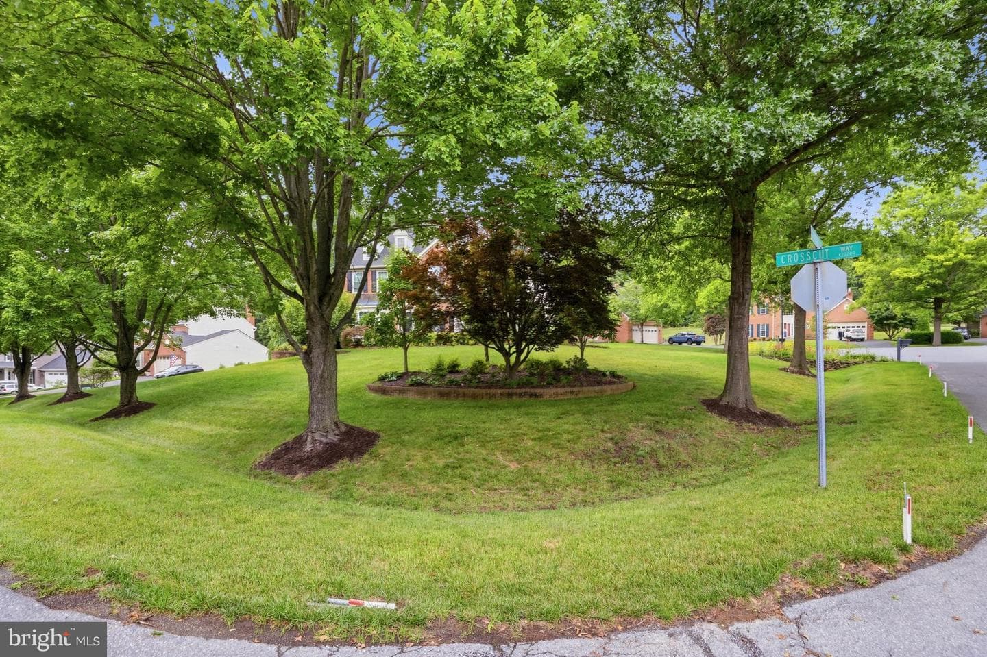 2 Crosscut Court photo 5