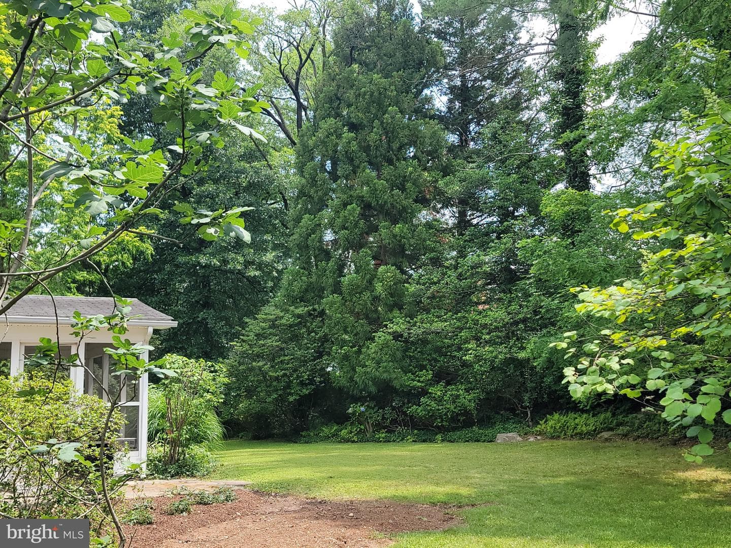 4320 Flower Drive photo 8