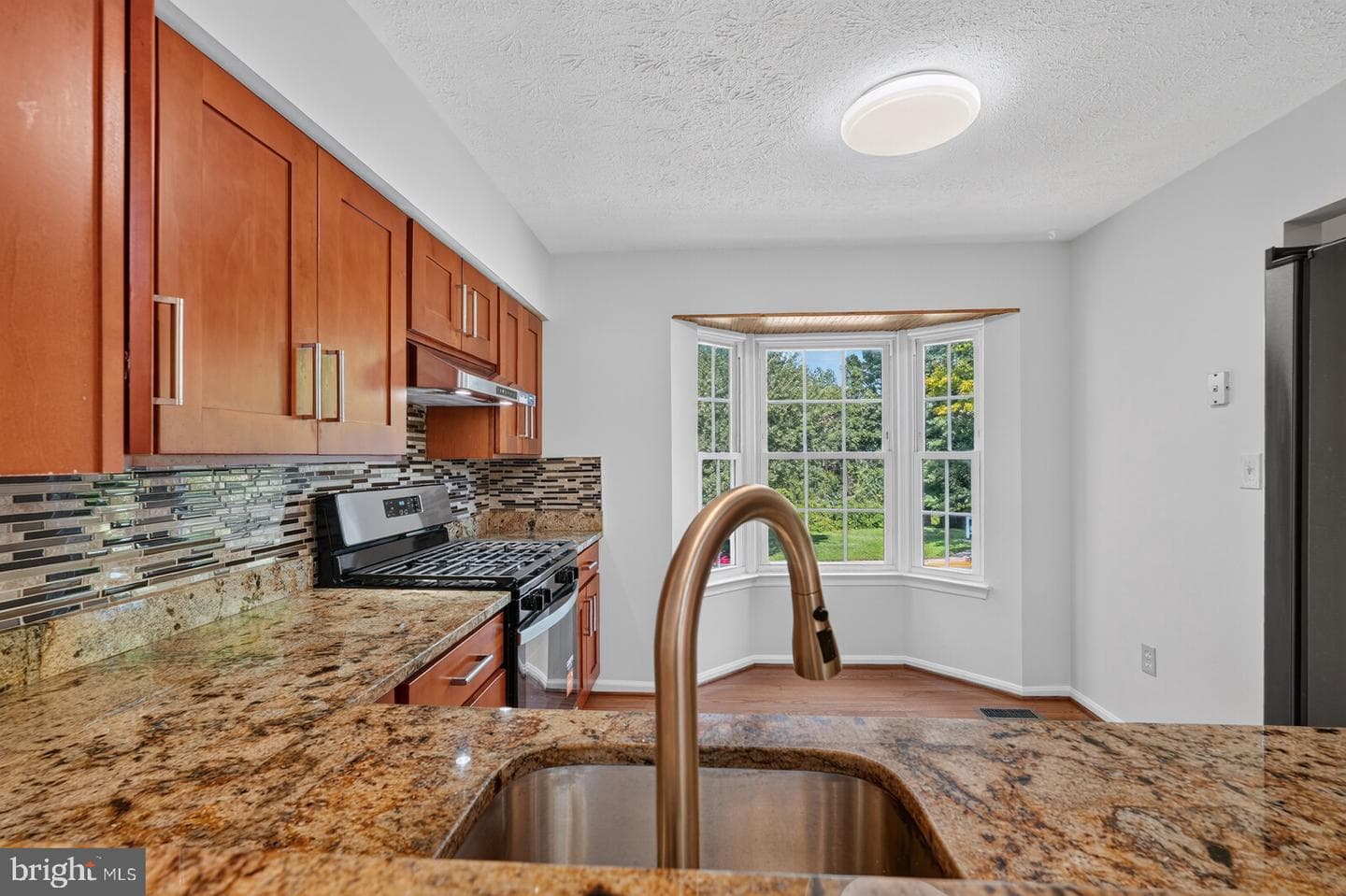 19501 White Saddle Drive photo 20