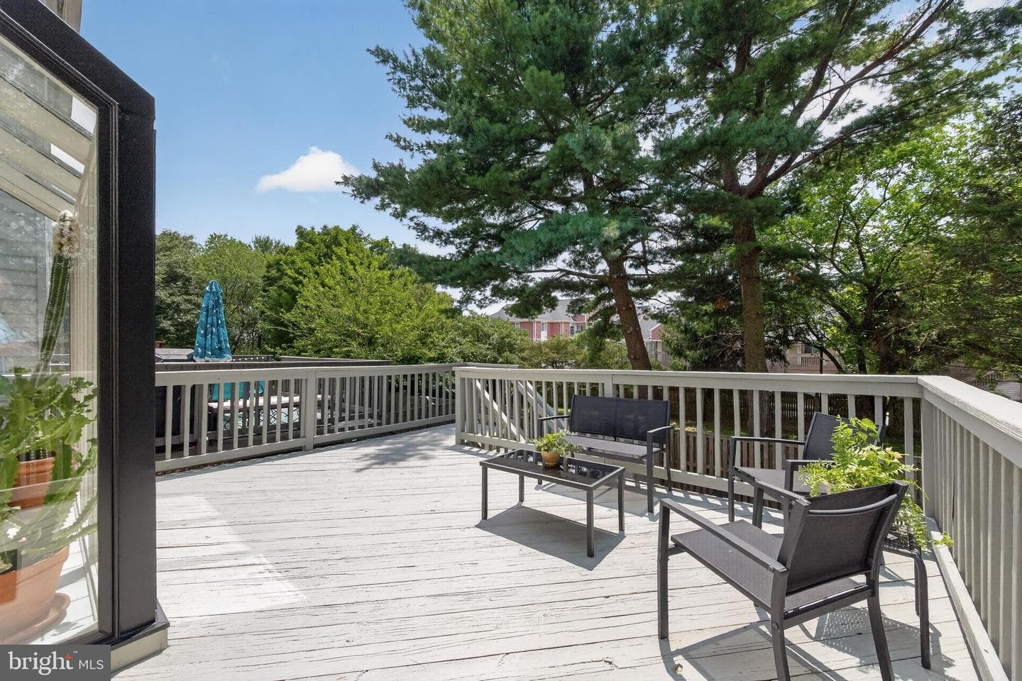 121 Swarthmore Avenue photo 61