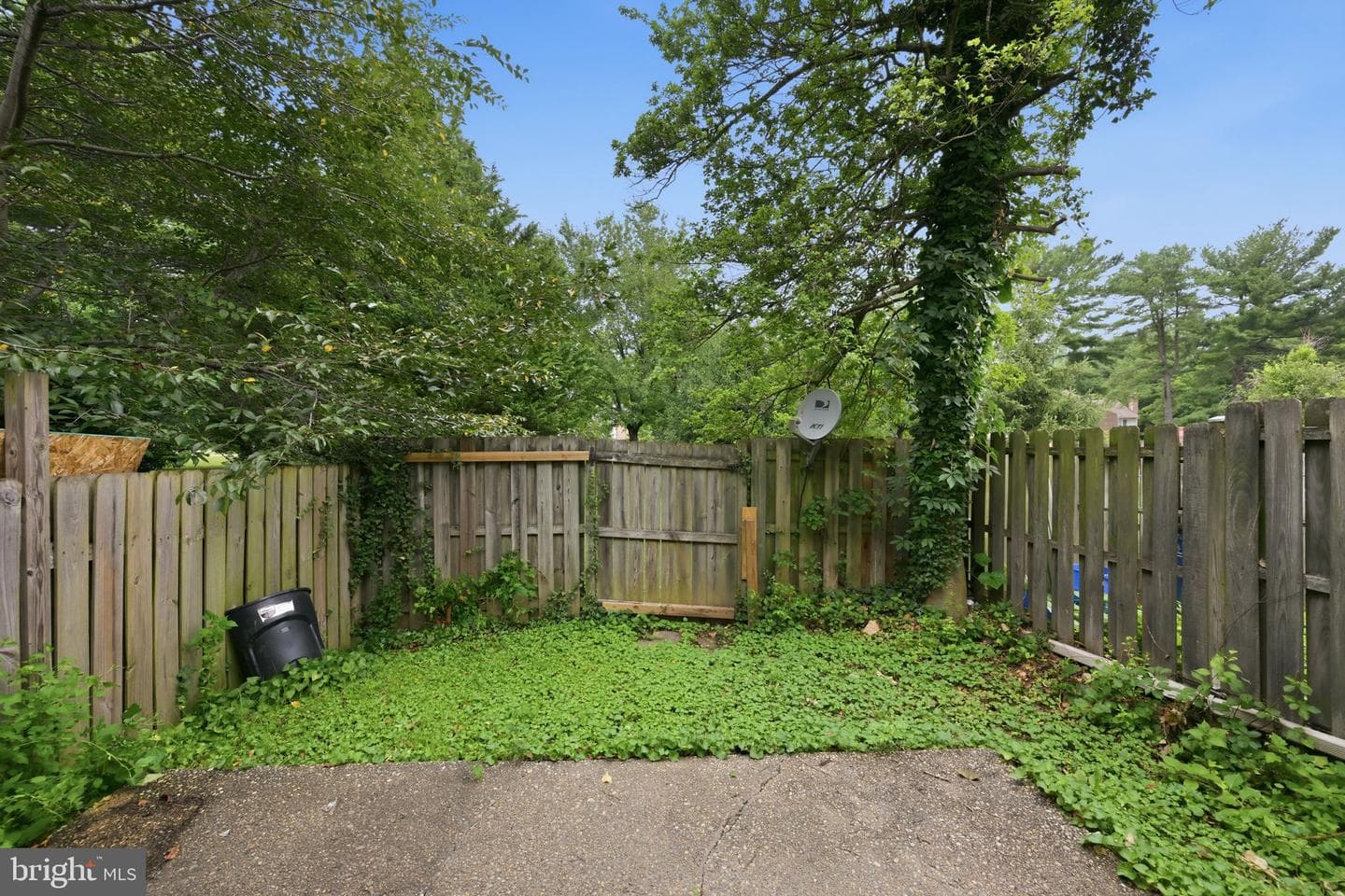 9367 Bremerton photo 23