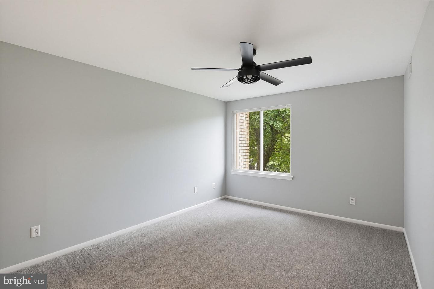 2515 Baltimore Road #6 photo 37