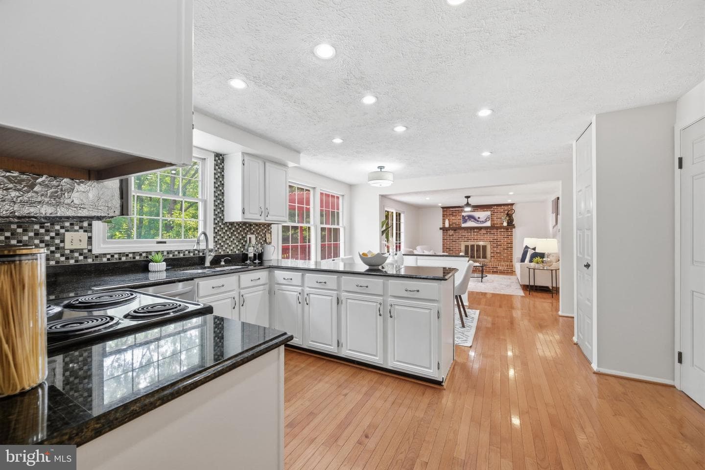 14621 Boat House Way photo 18