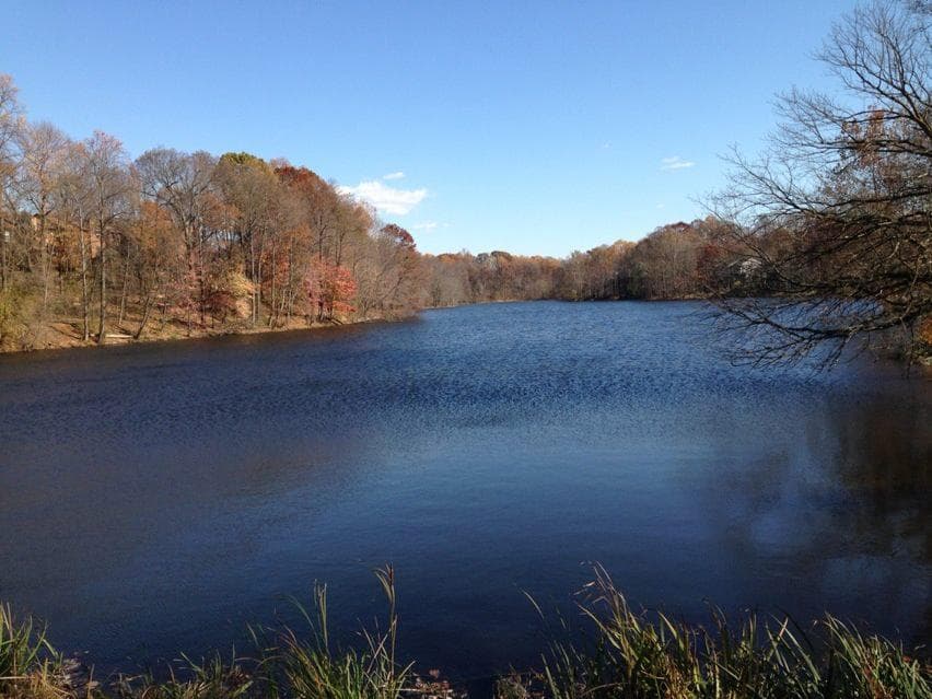9580 Nature Trail photo 48