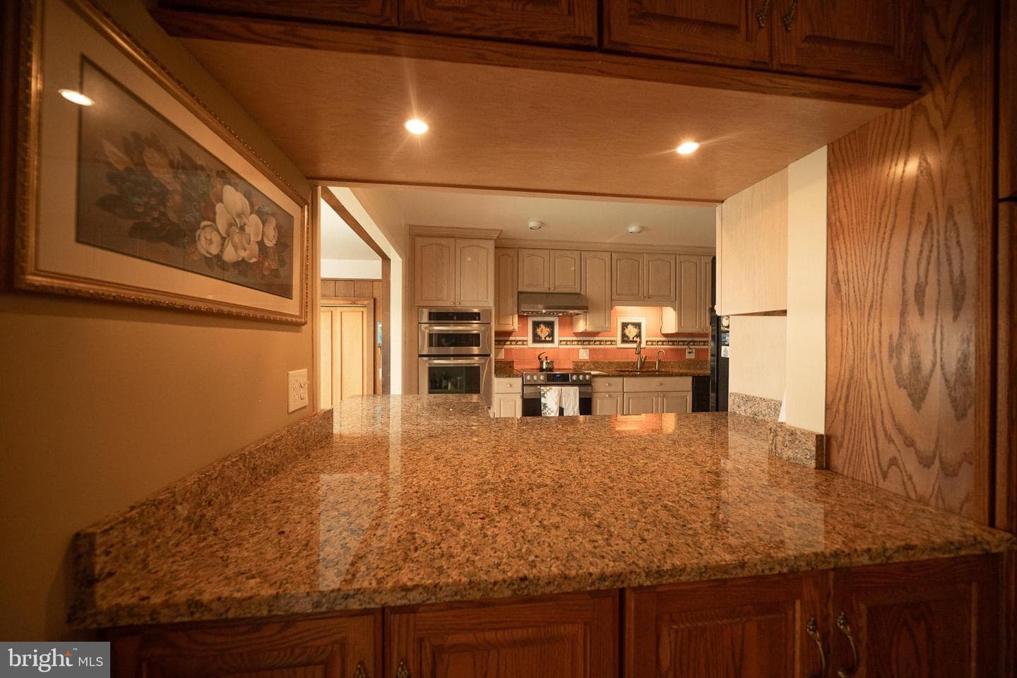 1205 Spotswood Drive photo 7