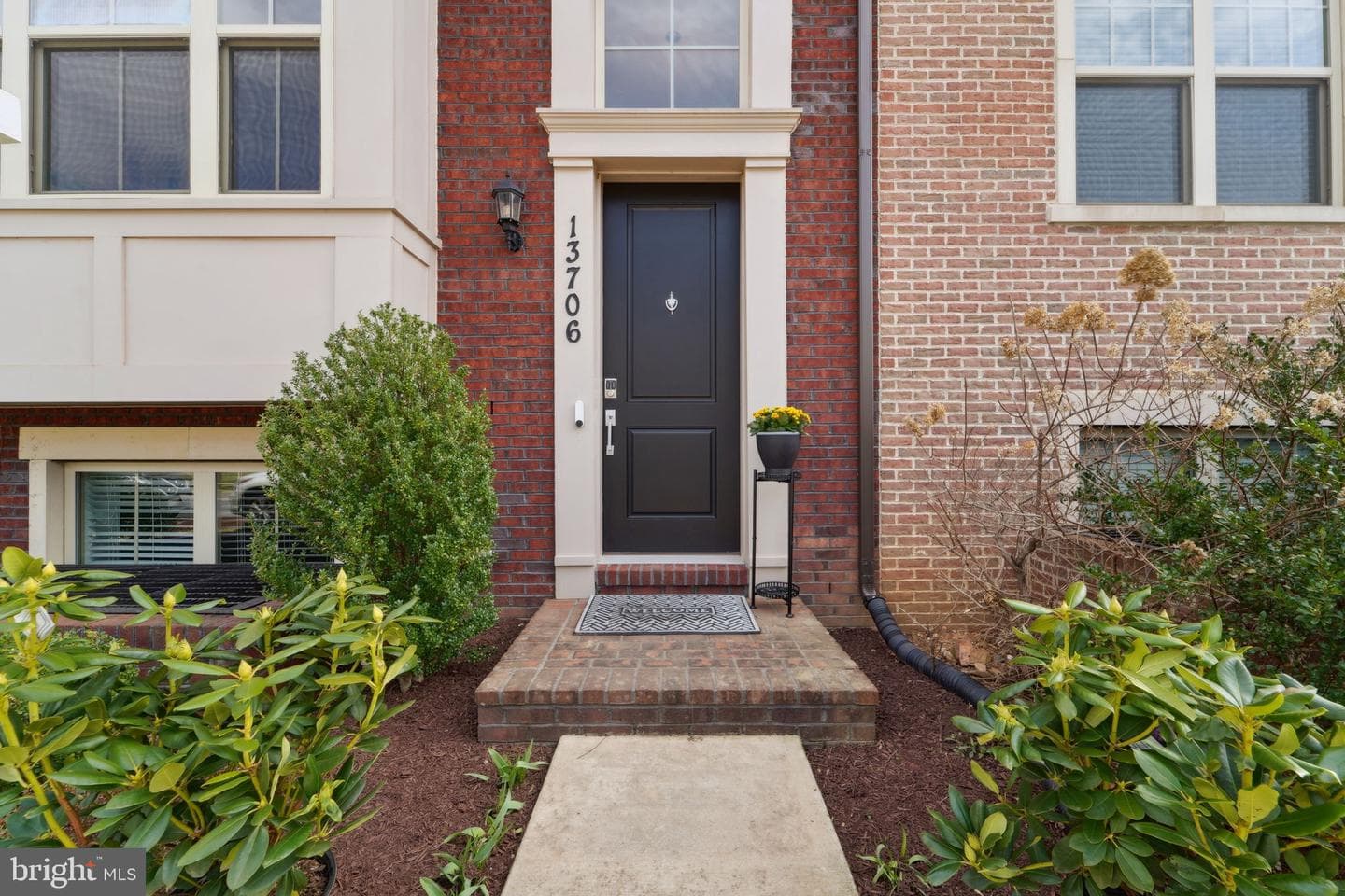 13706 Petrel Street photo 4