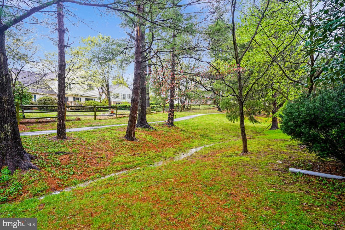 9507 Fern Hollow Way photo 66